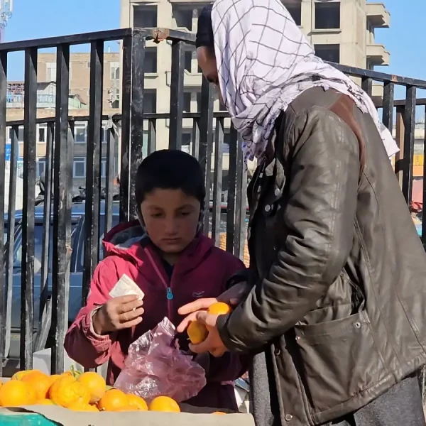 compressed-WhatsApp Image 2026-02-18 at 3.45.00 PM